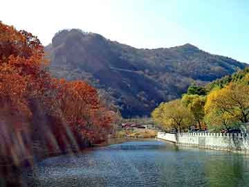 新澳天天开奖资料大全旅游团，版主招聘